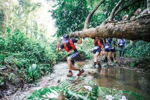 BIB: 
                            <button type="button" onclick="openModal(25474450)" class="btn btn-primary btn-sm float-right btn-popup" data-toggle="modal" data-target=".modal-high-quality">
                        <i class="fas fa-shopping-cart"></i> Add to Cart
                    </button>
                                            <button type="button" onclick="isThisMe(25474450, true)" class="btn btn-success btn-sm float-right btn-popup btn-isme hidden" data-toggle="tooltip" data-placement="bottom" title="นี่คือรูปของคุณใช่ไหม คลิกที่นี่เพื่อเอาเข้าอัลบั้ม">
                        <i class="fas fa-plus"></i> Add to album
                    </button>
                    <button type="button" onclick="isThisMe(25474450, false)" class="btn btn-warning btn-sm float-right btn-popup btn-isnotme hidden">
                        <i class="fas fa-ban"></i> Remove from album
                    </button>